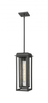 Mansfield - 1 Light - 8 inch - Matte Black - Coastal Outdoor Pendant (3442|9951-1H-BK-19-CG-BK-SDY)