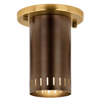 Flush Mount 1Lt (10687|52842LBZ)