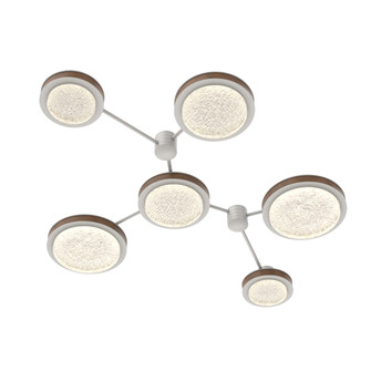Iris 6-Piece Hub&Spoke Linear (1289|SMB0103-HL-WI-GL-L1-L01)