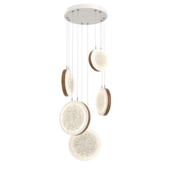 Iris 5-Piece Multi-pendant (1289|CHB0103-05-WI-GL-CA1-L3-L01)