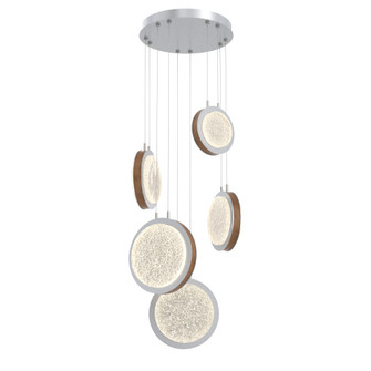 Iris 5-Piece Multi-pendant (1289|CHB0103-05-CS-GL-CA1-L1-L01)