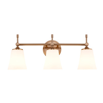 Tulsi 3-Light Bath Bar (254|FSN-8313-OPAL-BRSS)