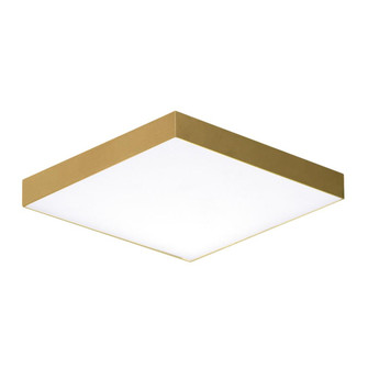 Trim-Flush Mount (19|57667WTSBR)