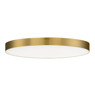 Trim-Flush Mount (19|57663WTSBR)
