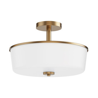 Fuller-Flush Mount (19|5695WTNAB)