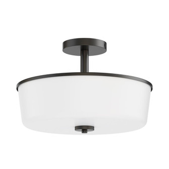 Fuller-Flush Mount (19|5695WTBK)