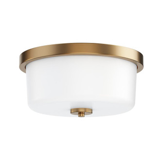 Fuller-Flush Mount (19|5691WTNAB)