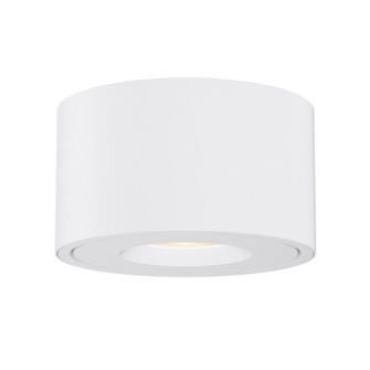 Fulcrum-Flush Mount (19|86250WT)