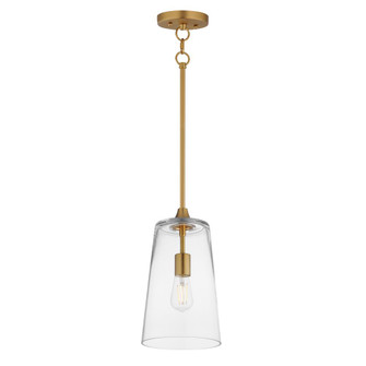 Hudson-Single Pendant (19|12886CLNAB)