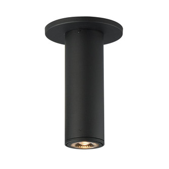 Fulcrum-Flush Mount (19|86251BK)