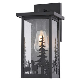 Acadia 12.25-in. H Outdoor Wall Light Matte Black (51|T0811)