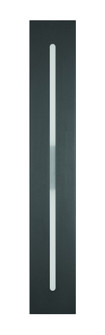 Profiled 30'' LED Outdoor Wall Lantern in Textured Black (20|ZA8410-TB-LED)