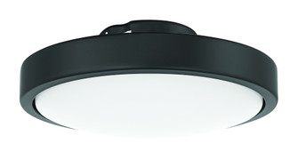 Frazier LED Light Kit in Flat Black (For FRZ56xxx3 Ceiling Fan) (20|FRZ56LK-FB-LED)