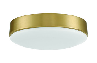 Charming LED Light Kit in Satin Brass (For use with CHM52xxx3) (20|CHM52LK-SB-LED)