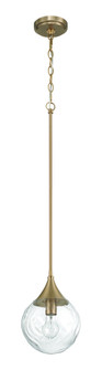 Reflection 1 Light Mini Pendant in Craftmade Premium Bronze (20|61291-CPZ)
