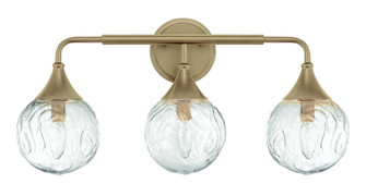 Reflection 3 Light Vanity in Craftmade Premium Bronze (20|61203-CPZ)