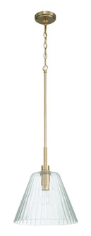 Pleated 1 Light Pendant in Premium Bronze (20|61192-CPZ)
