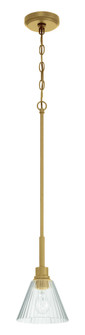 Pleated 1 Light Mini Pendant in Premium Bronze (20|61191-CPZ)