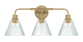 Pleated 3 Light Vanity in Premium Bronze (20|61103-CPZ)