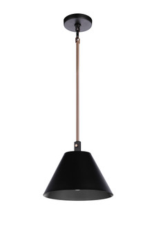 Blake 1 Light Pendant in Flat Black/Satin Brass (20|60991-FBSB)