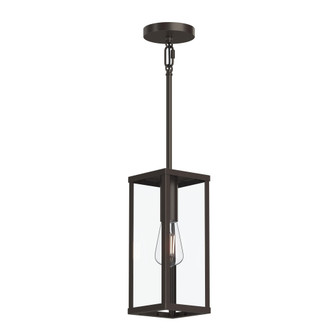 P550146-020 1-L HANGING LANTERN (149|P550146-020)