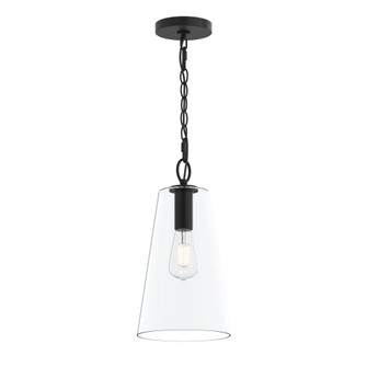 P500511-31M 1-L PENDANT (149|P500511-31M)
