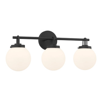 Ortesa 24'' 3-Light Vanity (10|12013-899)