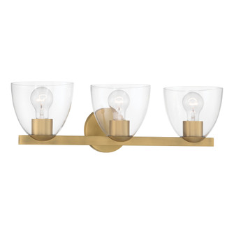Noellea 23.5'' 3-Light Vanity (10|12483-732)