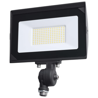 80 Watt LED DOB Tempered Glass Flood Light; 5000K CCT; Bronze Finish (27|65/732)