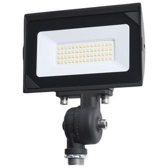 30 Watt LED DOB Tempered Glass Flood Light; 5000K CCT; Bronze Finish (27|65/728)