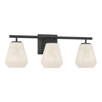 Siena 22.75'' 3-Light Vanity (10|14373-899)