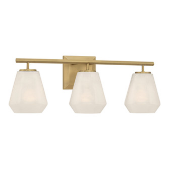 Siena 22.75'' 3-Light Vanity (10|14373-732)