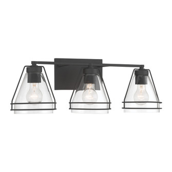 Lorenth 24.25'' 3-Light Vanity (10|17643-899)