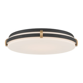 Arclume 18.75'' 5CCT LED Flush Mount (10|18636-798-L)