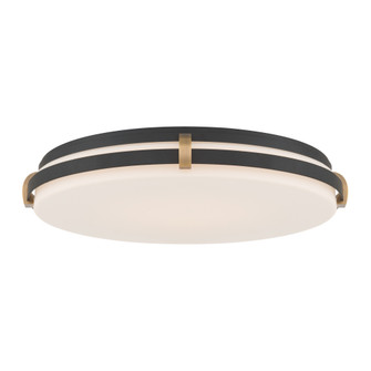 Arclume 18.75'' 5CCT LED Flush Mount (10|18636-798-L)