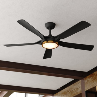 Cary 56-in. LED Ceiling Fan Matte Black and Satin Brass (51|F0146)