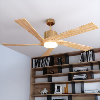 Wedgewood 60-in. LED Ceiling Fan Satin Brass with Light Oak Blades (51|F0147)