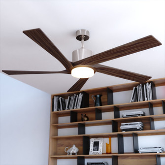 Wedgewood 60-in. LED Ceiling Fan Satin Nickel with Natural Walnut Blades (51|F0134)