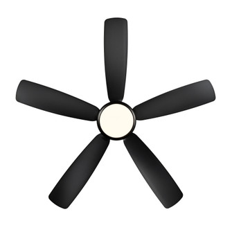 Airstra 52'' LED Indoor/Outdoor Ceiling Fan (670|1010WLED-MBK-MBK)