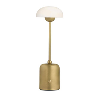 Lumi Rechargeable Accent Lamp (314|PAC05)