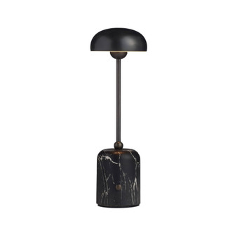 Lumi Rechargeable Accent Lamp (314|PAC04)