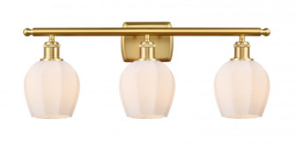 Norfolk - 3 Light - 26 inch - Satin Gold - Bath Vanity Light (3442|516-3W-SG-G461-6)