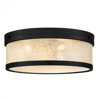 Micah Flush Mount (26|MICA1616MBK)