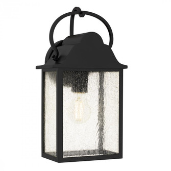 Damian Outdoor Lantern (26|DAM8307MBK)