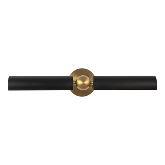 Cole (461|PL405123BGMB)