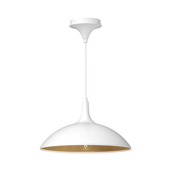 Abel (461|PD627914WH)
