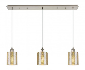 Cobbleskill - 3 Light - 37 inch - Brushed Satin Nickel - Linear Pendant (3442|123B-3P-SN-G116)