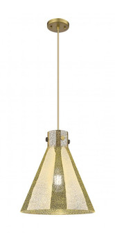 Newton Cone - 1 Light - 14 inch - Brushed Brass - Cord hung - Pendant (3442|410-1PM-BB-G411-14ME)
