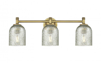 Caledonia - 3 Light - 23 inch - Brushed Brass - Bath Vanity Light (3442|434-3W-BB-G259)