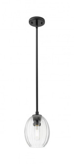 Preston Bulb - 1 Light - 6 inch - Matte Black - Pendant (3442|434-1S-BK-G459-6CL)